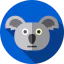 Koala icon 64x64