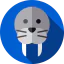 Walrus icon 64x64