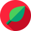 Leaf icon 64x64