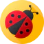 Ladybug icon 64x64