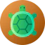 Turtle icon 64x64