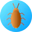 Cockroach ícono 64x64