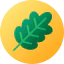 Leaf icon 64x64