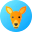Kangaroo icon 64x64