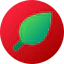 Leaf icon 64x64