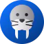 Walrus icon 64x64