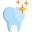 Molar icon 64x64