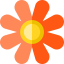 Flower icon 64x64