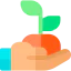 Sprout icon 64x64