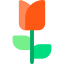 Rose icon 64x64