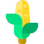 Corn icon 64x64