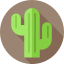Cactus icon 64x64