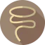 Lasso 상 64x64
