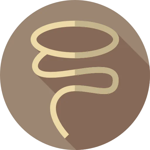 Lasso icon