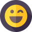 Wink Ikona 64x64