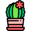 Cactus icon 64x64