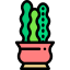 Cactus icon 64x64