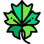 Leaf icon 64x64