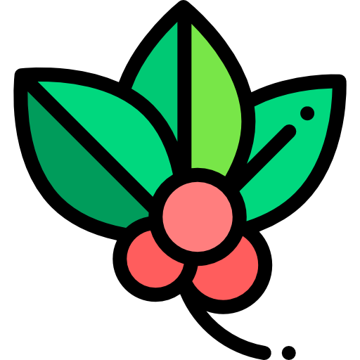 Mistletoe icon