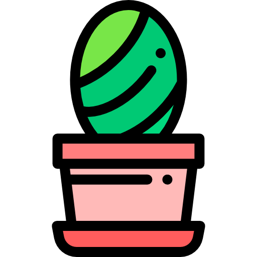 Cactus icon