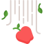 Apple icon 64x64