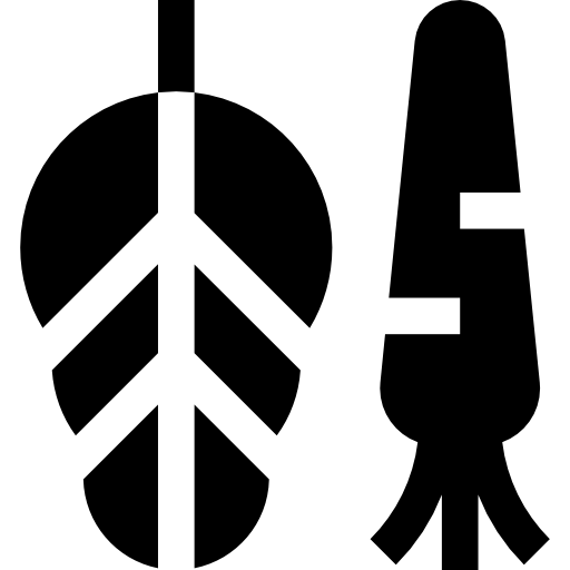 Vegetables icon