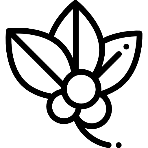Mistletoe icon