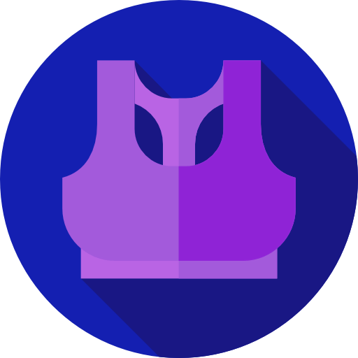 Bra icon
