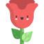Rose icon 64x64