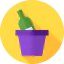 Champagne icon 64x64