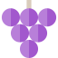 Grapes icon 64x64