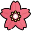 Cherry blossom icon 64x64