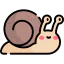 Snail icon 64x64