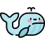 Whale icon 64x64