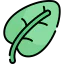 Leaf icon 64x64
