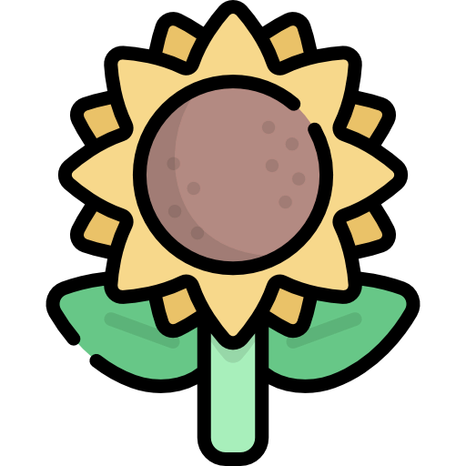 Sunflower icon