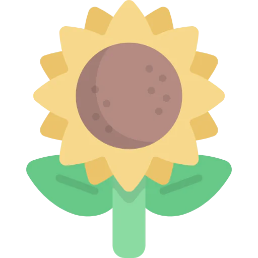 Sunflower icon