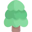 Pine icon 64x64