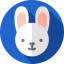 Rabbit icon 64x64