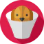 Elizabethan collar icon 64x64