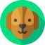 Dog icon 64x64