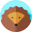 Hedgehog icon 64x64