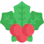Mistletoe icon 64x64
