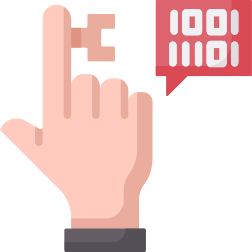 Key icon