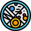 Petri dish icon 64x64