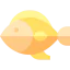 Codfish icon 64x64