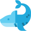 Shark icon 64x64
