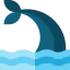 Whale icon 64x64