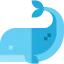 Whale icon 64x64
