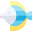 Surgeon fish icon 64x64